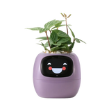 Tuya Ivy Smart Planter