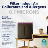 Rabbit Air A3 SPA-1000N Ultra Quiet HEPA Air Purifier