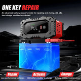 FOXSUR 20A/10A Smart Battery Charger for Car / Motorcycle
