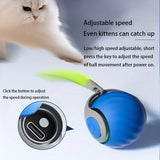 Automatic Interactive Smart Cat Toy - USB Rechargeable Rolling Ball and Mouse Car Teaser