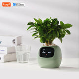 Tuya Ivy Smart Planter