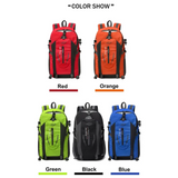 Backpack (Day Pack)