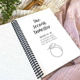 Bump to Bubba Pregnancy Journal