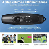 Electronic Whistle