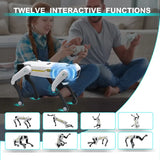 AI RC Robot Dog with Voice Control, App Programming & Dancing Functions