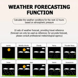 Professional Wireless Weather Station with Wind & Rain Sensors