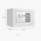 Wall-Mounted Password Safe with Alarm