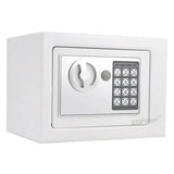 Wall-Mounted Password Safe with Alarm
