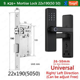 RAYKUBE K20 Biometric Fingerprint Door Lock